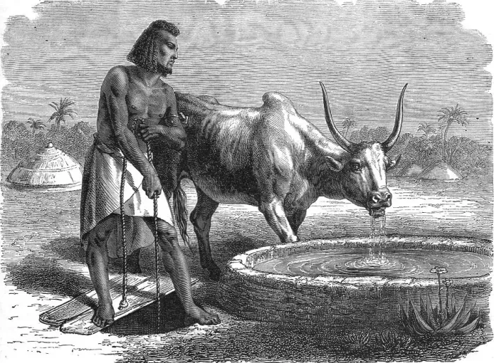 Framed Print : Samhar peasant at a well; A journey through Soudan and Western Abyssinia... 1875. Creator: Unknown Framed Print : Samhar peasant at a well; A journey through Soudan and Western Abyssinia... 1875. Creator: Unknown