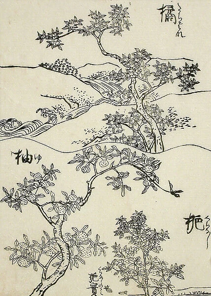 Samples of Three Tree Types for Artists, 19th century. Creator: Shinsai