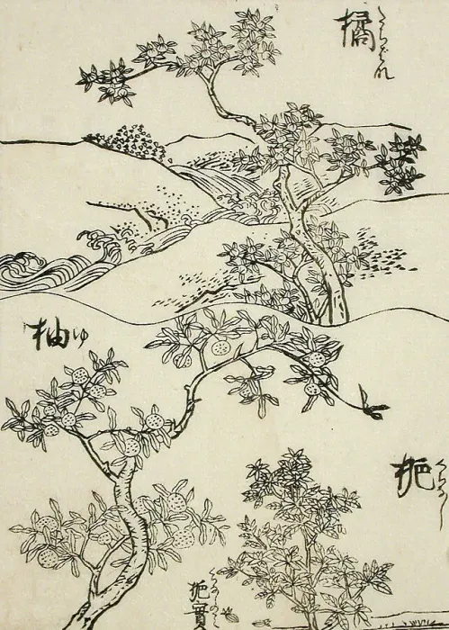 Framed Print : Samples of Three Tree Types for Artists, 19th century. Creator: Shinsai Framed Print : Samples of Three Tree Types for Artists, 19th century. Creator: Shinsai