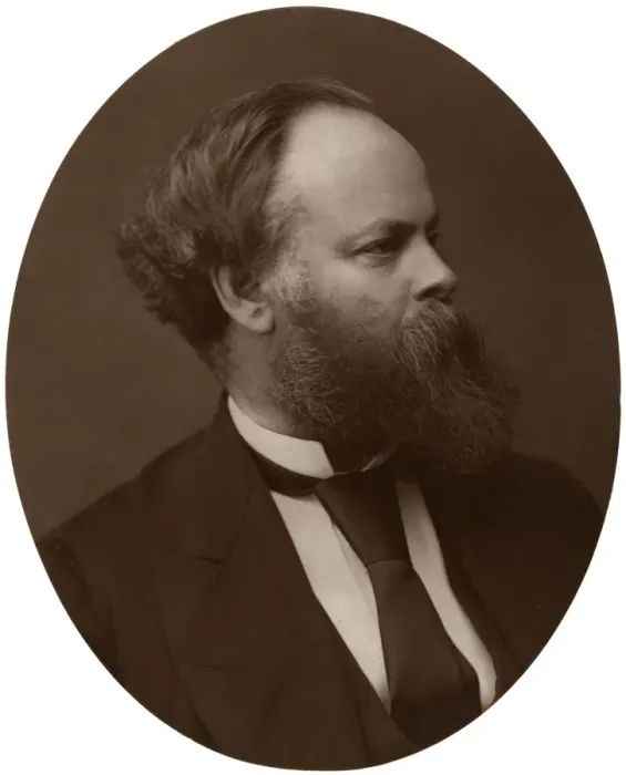 Framed Print : Samuel Plimsoll, Esq, MP, British Liberal politician and social reformer, 1876. Artist: Lock & Whitfield Framed Print : Samuel Plimsoll, Esq, MP, British Liberal politician and social reformer, 1876. Artist: Lock & Whitfield