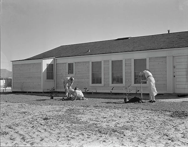 San Fernando federal subsistence homesteads, California, 1936. Creator: Dorothea Lange