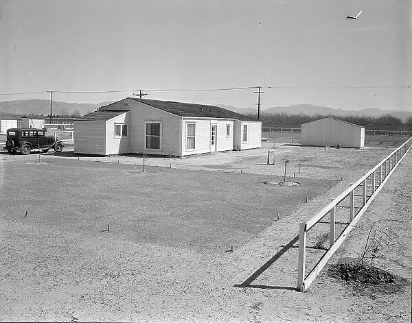 San Fernando homesteads, California, 1936. Creator: Dorothea Lange