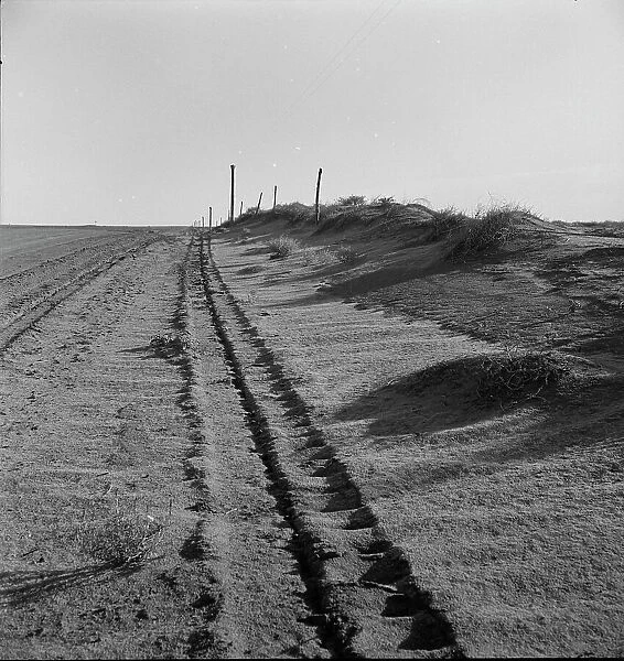 Sand drift along fence, Dust Bowl, north of Dalhart, Texas, 1938. Creator: Dorothea Lange