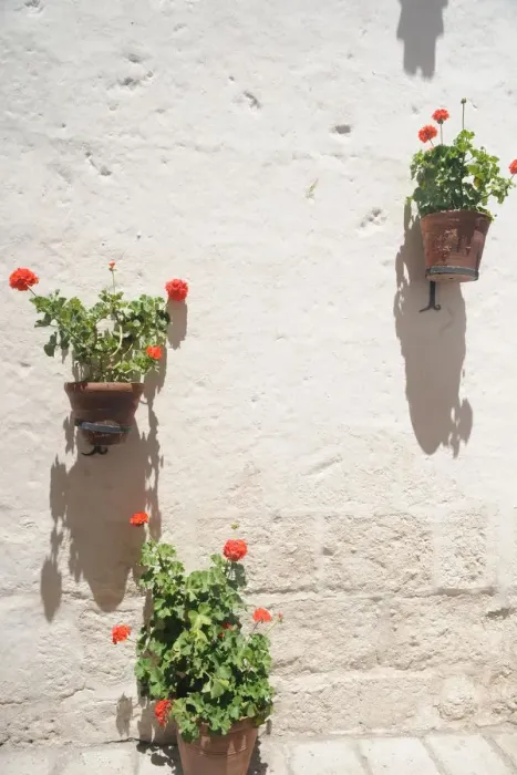 Framed Print : Santa Catalina Monastery, 2015. Creator: Luis Rosendo Framed Print : Santa Catalina Monastery, 2015. Creator: Luis Rosendo