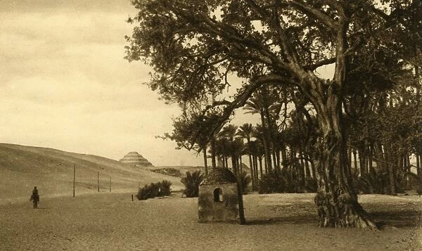 Saqqara - The Step Pyramid seen from the Sycomore, c1918-c1939. Creator: Unknown