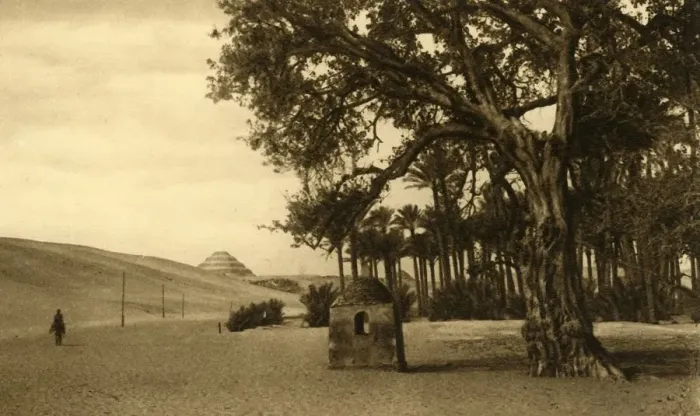 Framed Print : Saqqara - The Step Pyramid seen from the Sycomore, c1918-c1939. Creator: Unknown Framed Print : Saqqara - The Step Pyramid seen from the Sycomore, c1918-c1939. Creator: Unknown