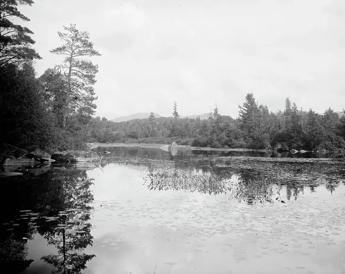 Framed Print : Saranac River below Bartlett's carry, Adirondack Mts. N.Y. between 1900 and 1910. Creator: Unknown Framed Print : Saranac River below Bartlett's carry, Adirondack Mts. N.Y. between 1900 and 1910. Creator: Unknown