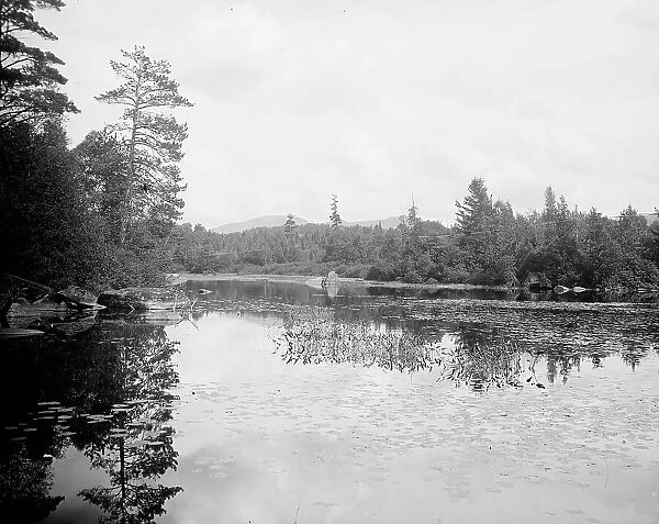 Saranac River below Bartlett's carry, Adirondack Mts. N.Y. between 1900 and 1910. Creator: Unknown