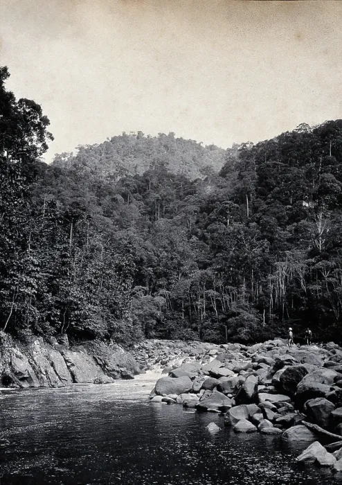 Framed Print : Sarawak: falls on the Baram River, c1900. Creator: Unknown Framed Print : Sarawak: falls on the Baram River, c1900. Creator: Unknown