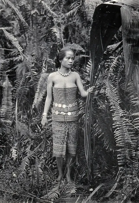 Framed Print : Sarawak: a girl picking leaves for use as fibres, c1900. Creator: Unknown Framed Print : Sarawak: a girl picking leaves for use as fibres, c1900. Creator: Unknown