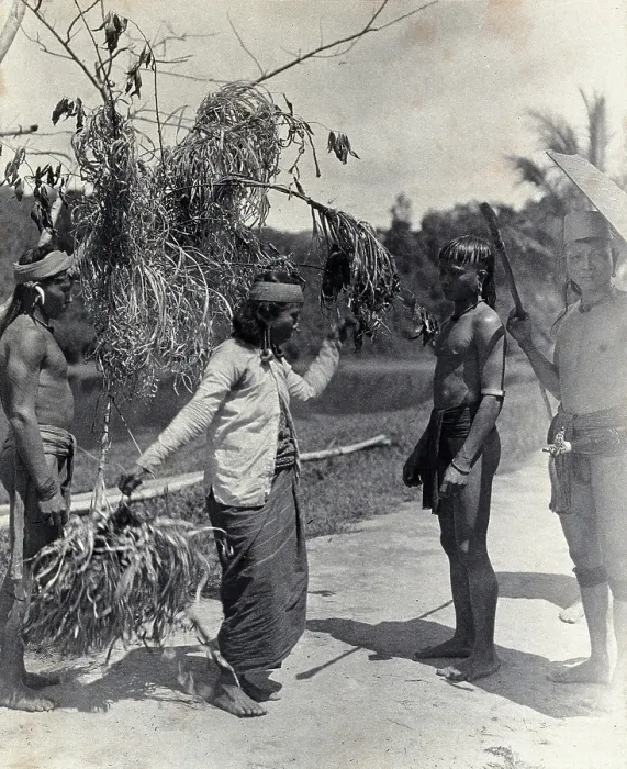 Framed Print : Sarawak: a Kayan woman dancing with the head of an enemy, c1900. Creator: Unknown Framed Print : Sarawak: a Kayan woman dancing with the head of an enemy, c1900. Creator: Unknown
