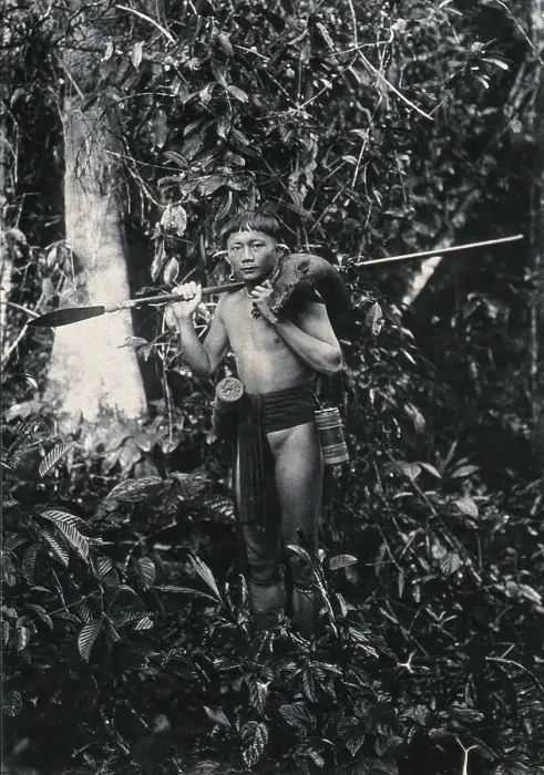 Framed Print : Sarawak: a Kenyah hunter with blowpipe and dead animal, c1900. Creator: Unknown Framed Print : Sarawak: a Kenyah hunter with blowpipe and dead animal, c1900. Creator: Unknown