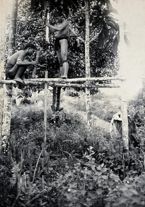 Framed Print : Sarawak: two Kenyah people boring a blowpipe, c1900. Creator: Unknown Framed Print : Sarawak: two Kenyah people boring a blowpipe, c1900. Creator: Unknown