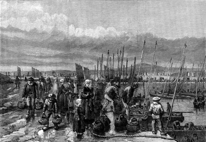 Framed Print : Sardine fishery on the coast of Brittany, 1871. Creator: Unknown Framed Print : Sardine fishery on the coast of Brittany, 1871. Creator: Unknown