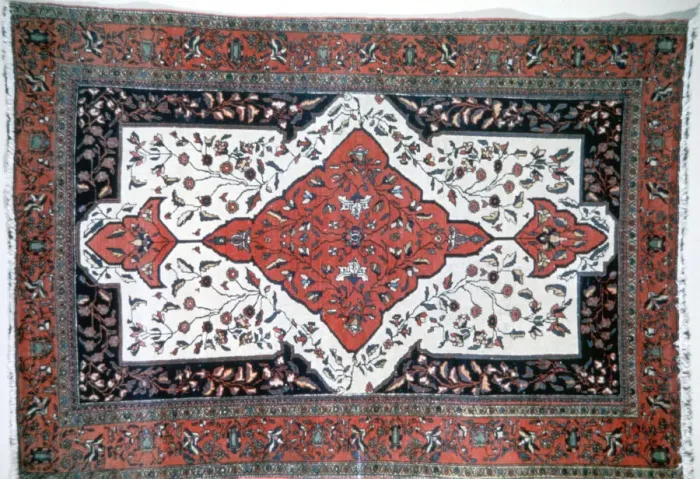 Framed Print : Sarouk rug, Persia Framed Print : Sarouk rug, Persia