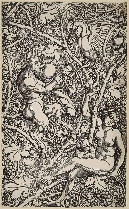 Framed Print : Satyr and Nymph with Birds. Module of a wallpaper, c.1525. Creator: Beham, Hans Sebald (1500-1550) Framed Print : Satyr and Nymph with Birds. Module of a wallpaper, c.1525. Creator: Beham, Hans Sebald (1500-1550)