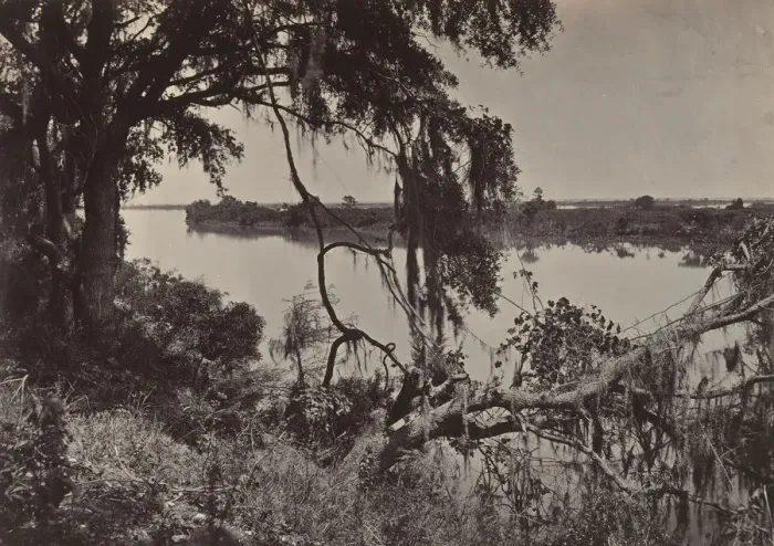 Framed Print : Savanah River, Near Savanah, Georgia, 1860s. Creator: George N. Barnard Framed Print : Savanah River, Near Savanah, Georgia, 1860s. Creator: George N. Barnard