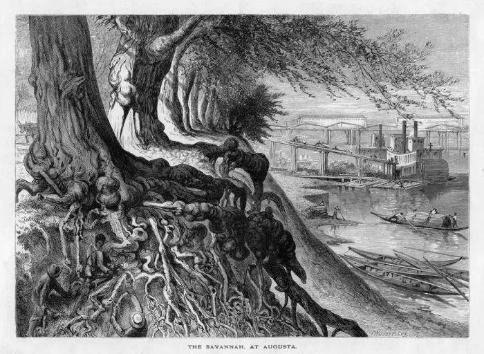 Framed Print : The Savannah, at Augusta, 19th century. Artist: FW Quartley Framed Print : The Savannah, at Augusta, 19th century. Artist: FW Quartley