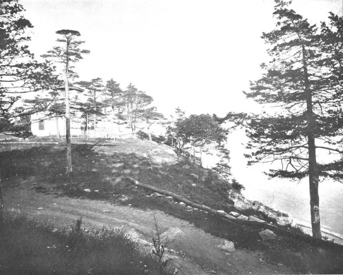 Framed Print : Savin Rock, New Haven, Connecticut, USA, c1900. Creator: Unknown Framed Print : Savin Rock, New Haven, Connecticut, USA, c1900. Creator: Unknown