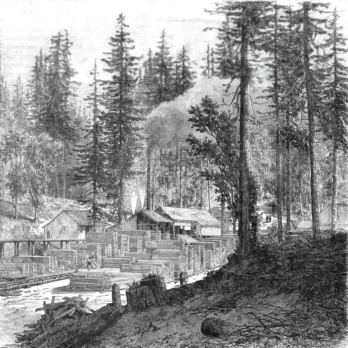Framed Print : Saw mill in a forest of pines.; Ocean to Ocean, the Pacific railroad, 1875. Creator: Frederick Whymper Framed Print : Saw mill in a forest of pines.; Ocean to Ocean, the Pacific railroad, 1875. Creator: Frederick Whymper
