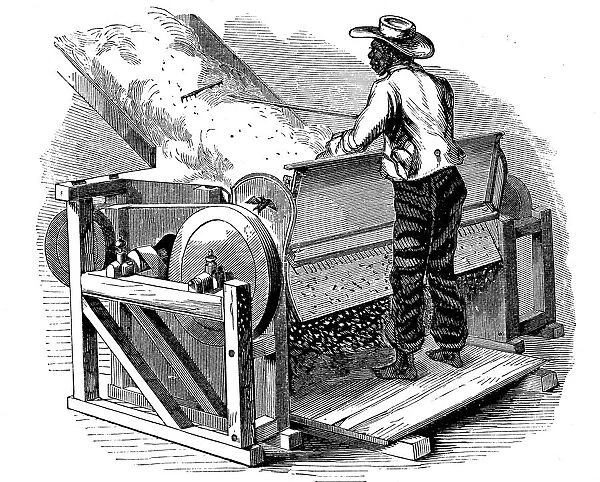 Saw gin for cleaning cotton being operated by barefoot black labourer, southern USA, 1865