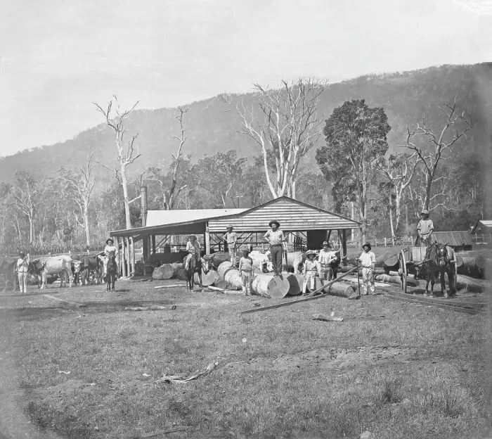 Framed Print : Saw mill, possibly Coomera region, Queensland, c1880s. Creator: Robert Augustus Henry L'Estrange. Saw mill, possibly Coomera region, Queensland, c1880s Framed Print : Saw mill, possibly Coomera region, Queensland, c1880s. Creator: Robert Augustus Henry L'Estrange. Saw mill, possibly Coomera region, Queensland, c1880s