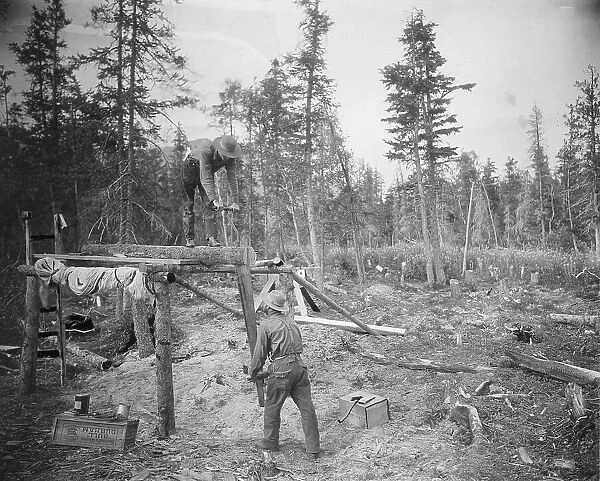 Sawing a log, 1916. Creator: Unknown