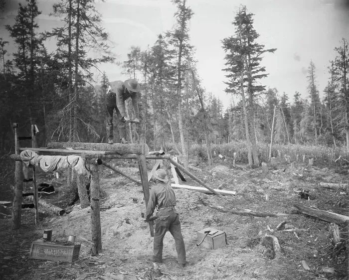 Framed Print : Sawing a log, 1916. Creator: Unknown Framed Print : Sawing a log, 1916. Creator: Unknown