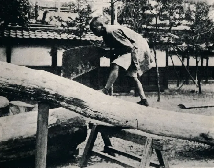 Framed Print : Sawing and planing are made with a pulling instead of a driving motion, c1900, (1921). Artist: Julian Leonard Street Framed Print : Sawing and planing are made with a pulling instead of a driving motion, c1900, (1921). Artist: Julian Leonard Street