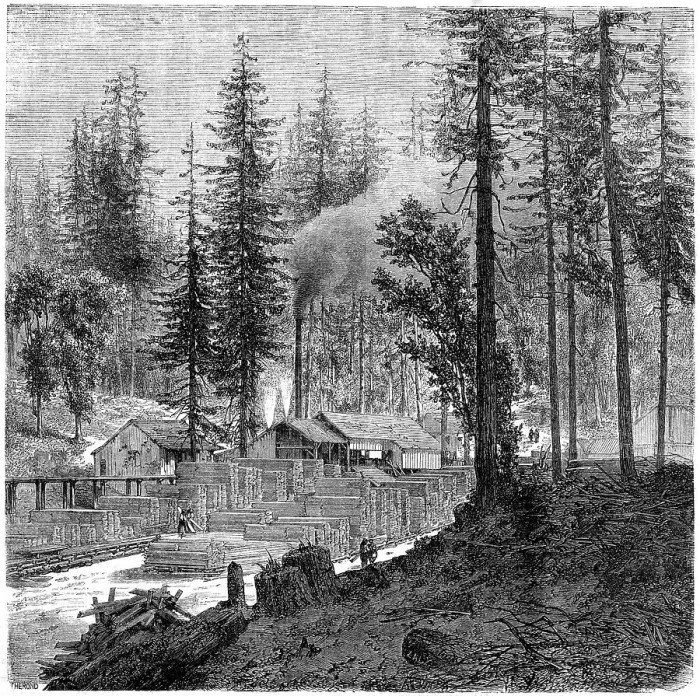 Framed Print : Sawmill, California, 19th century. Artist: Theroud Framed Print : Sawmill, California, 19th century. Artist: Theroud