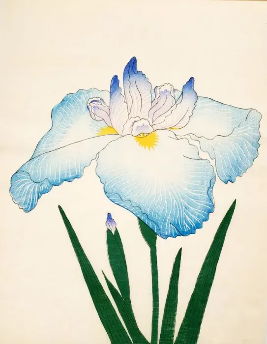 Framed Print : Sazanami, No. 68, 1890, (colour woodblock print) Framed Print : Sazanami, No. 68, 1890, (colour woodblock print)