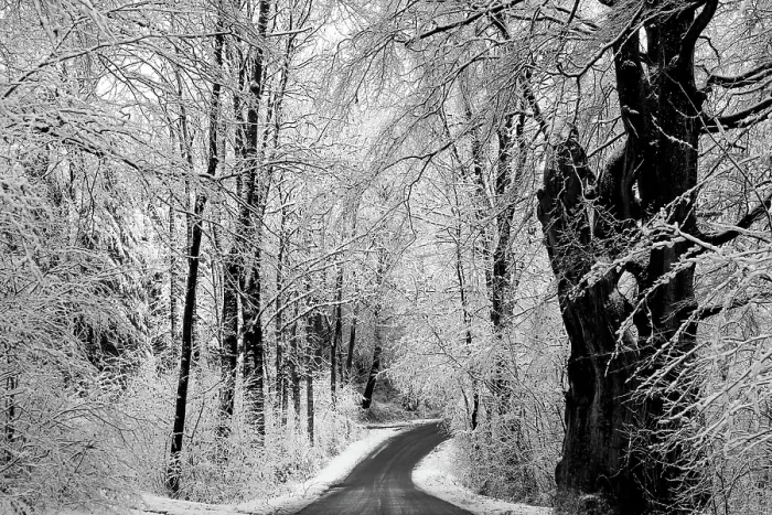 Framed Print : Scandinavian Winter. Creator: Dorte Verner Framed Print : Scandinavian Winter. Creator: Dorte Verner