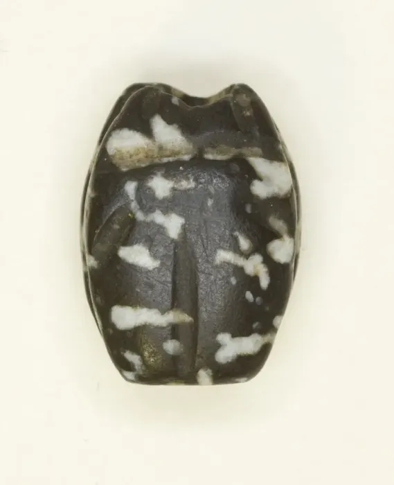 Framed Print : Scarab: Uninscribed, Egypt, First Intermediate Period-Early Middle Kingdom ( Framed Print : Scarab: Uninscribed, Egypt, First Intermediate Period-Early Middle Kingdom (