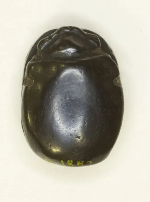 Framed Print : Scarab: Uninscribed, Egypt, Middle Kingdom-Late Period, Dynasties 12-26 Framed Print : Scarab: Uninscribed, Egypt, Middle Kingdom-Late Period, Dynasties 12-26