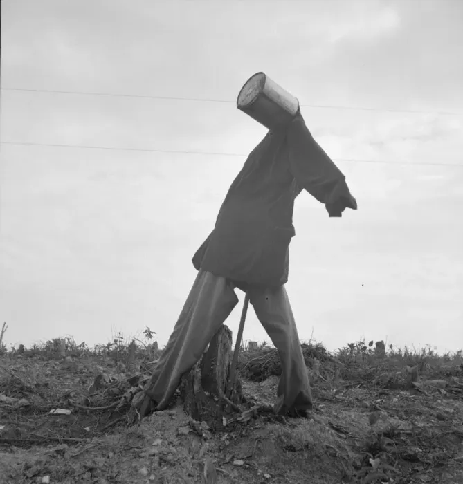 Framed Print : Scarecrow on a newly cleared field with stumps near Roxboro, North Carolina, 1939. Creator: Dorothea Lange