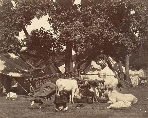 Scene in Camp] 1858-61. Creator: Unknown