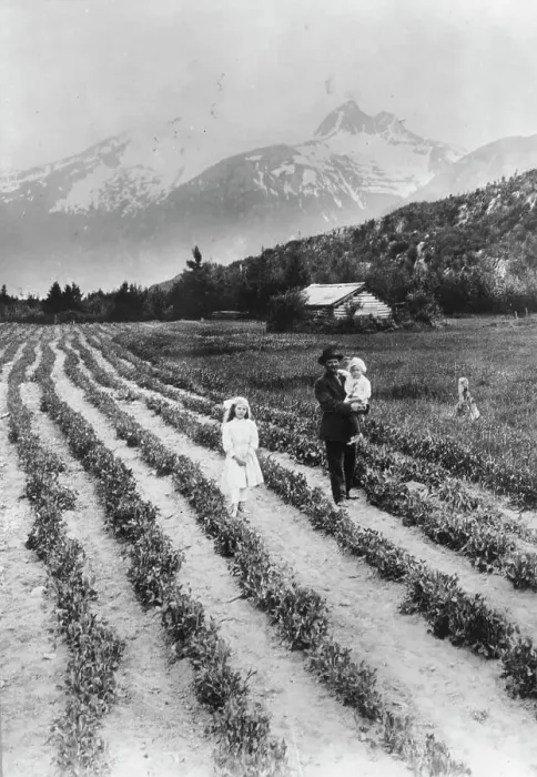Framed Print : Scene on farm in southeastern Alaska, where small fruits and vegetables... between c1900 and 1923. Creator: Unknown Framed Print : Scene on farm in southeastern Alaska, where small fruits and vegetables... between c1900 and 1923. Creator: Unknown
