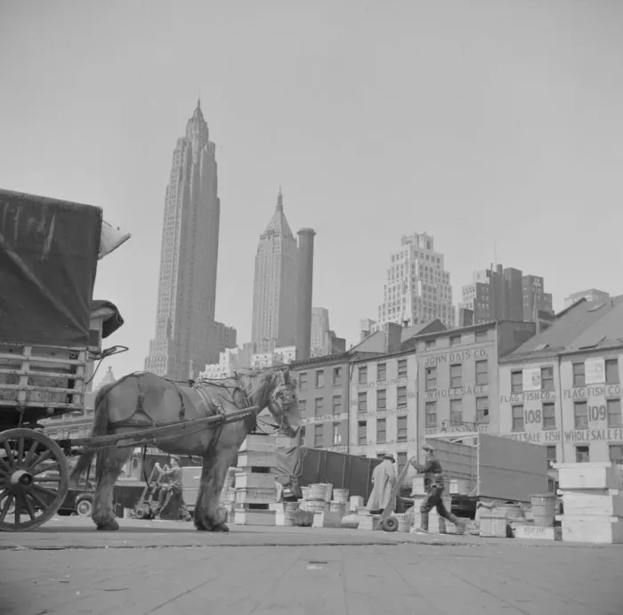 Framed Print : A scene at the Fulton fish market, New York, 1943. Creator: Gordon Parks Framed Print : A scene at the Fulton fish market, New York, 1943. Creator: Gordon Parks