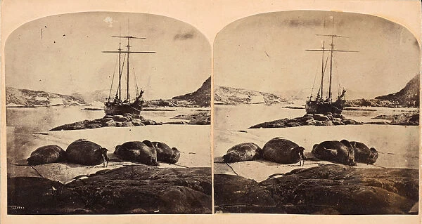 Scene de la mer glacial, ca. 1859. Creator: Isaac Israel Hayes