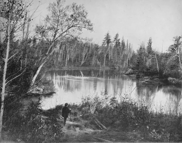 Framed Print : Scene on Peshtigo River, Wisconsin, c1897. Creator: Unknown Framed Print : Scene on Peshtigo River, Wisconsin, c1897. Creator: Unknown
