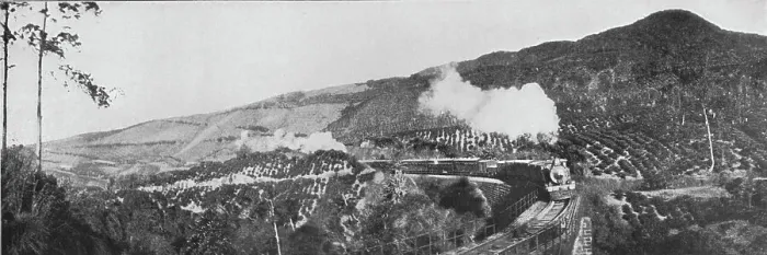 Framed Print : A Scene on the Up-Country Railway. Passing a Tea Estate at Nanu Oya, c1890, (1910). Artist: Alfred William Amandus Plate Framed Print : A Scene on the Up-Country Railway. Passing a Tea Estate at Nanu Oya, c1890, (1910). Artist: Alfred William Amandus Plate
