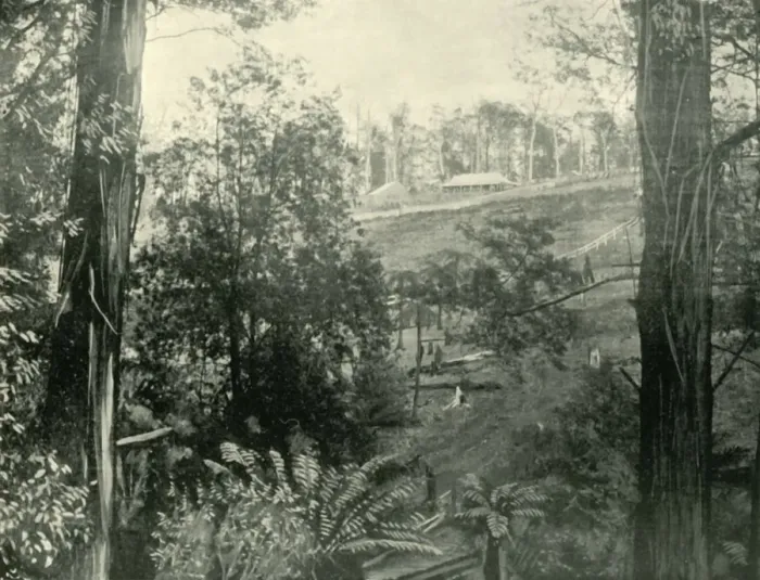 Framed Print : Scene at Upper Gembrook, Victoria, 1901. Creator: Unknown Framed Print : Scene at Upper Gembrook, Victoria, 1901. Creator: Unknown