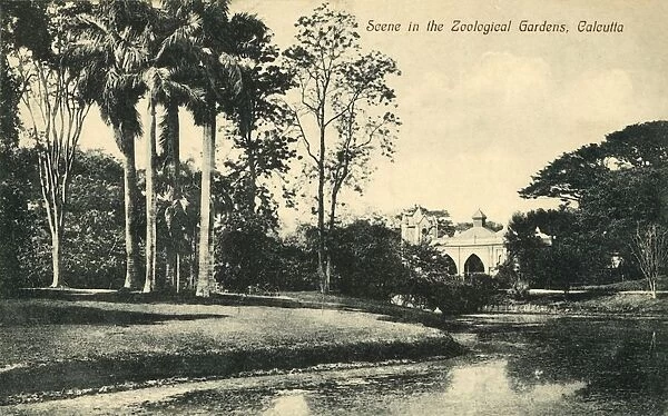 Scene in the Zoological Gardens, Calcutta. Creator: Unknown