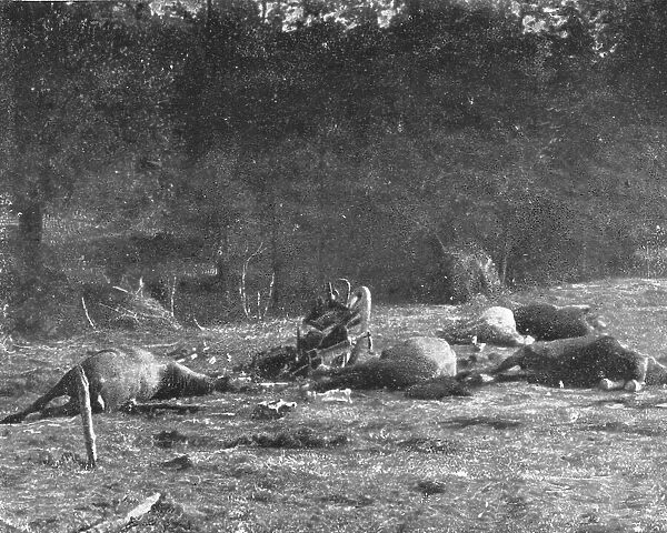 Scenes de Guerre; Au cours la poursuite, un de nos obus tombe sur un caisson allemand, 1914 Creator: Unknown