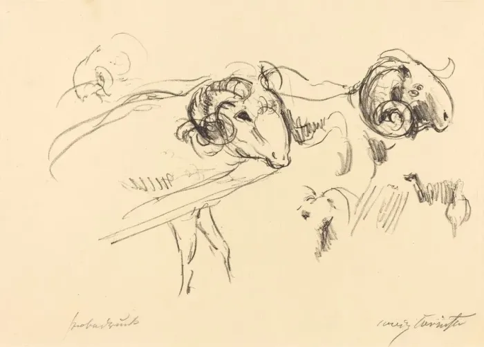 Framed Print : Schafbocke (Rams), 1912. Creator: Lovis Corinth Framed Print : Schafbocke (Rams), 1912. Creator: Lovis Corinth