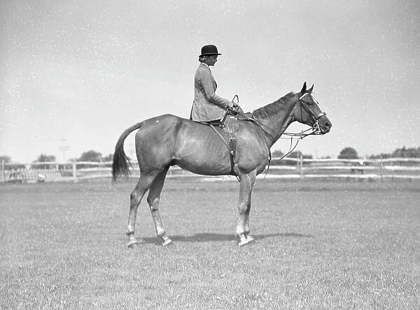 Schey, Theresa, Miss, on horse, between 1911 and 1942. Creator: Arnold Genthe