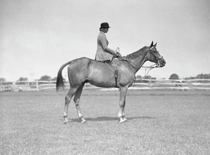 Framed Print : Schey, Theresa, Miss, on horse, between 1911 and 1942. Creator: Arnold Genthe Framed Print : Schey, Theresa, Miss, on horse, between 1911 and 1942. Creator: Arnold Genthe