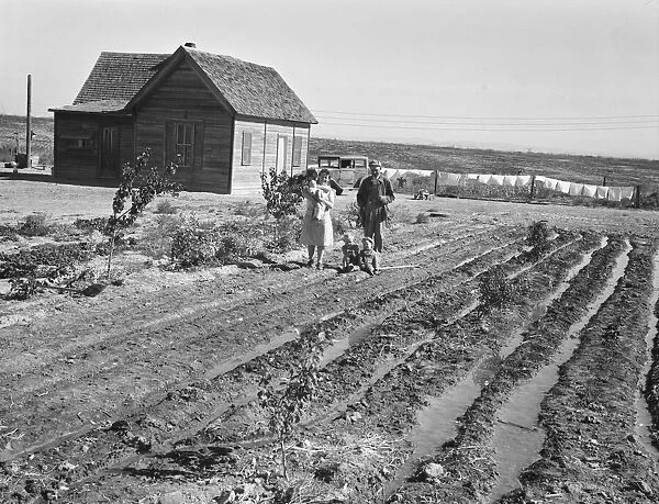 The Schroeder family, Dead Ox Flat, Malheur County, Oregon, 1939. Creator: Dorothea Lange