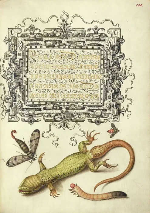 Framed Print : Scorpionfly, Insect, Lizard, and Insect Larva, 1561-1562; illumination added 1591-1596. Creator: Joris Hoefnagel Framed Print : Scorpionfly, Insect, Lizard, and Insect Larva, 1561-1562; illumination added 1591-1596. Creator: Joris Hoefnagel