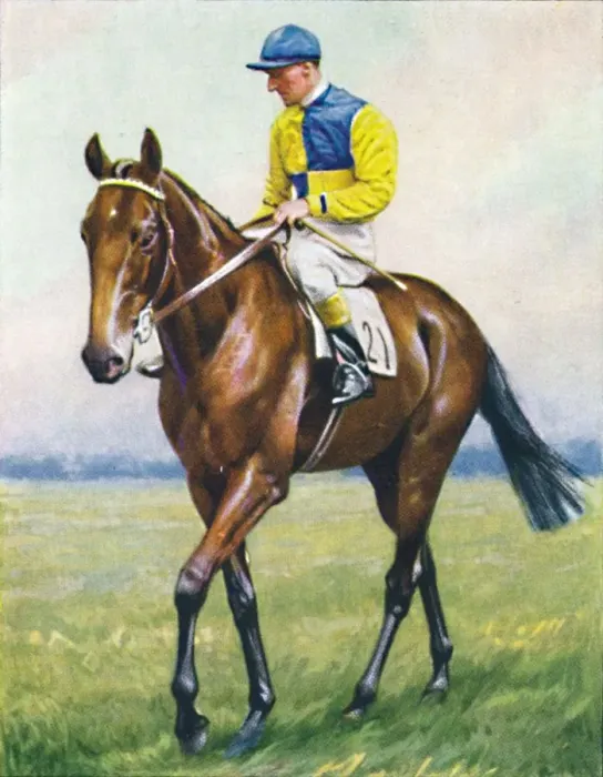 Framed Print : Scottish Union, Jockey: B. Carslake, 1939 Framed Print : Scottish Union, Jockey: B. Carslake, 1939